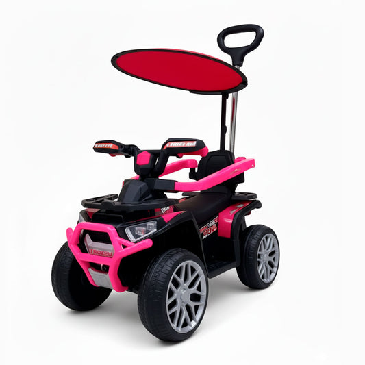 CUATRIMOTO ELECTRICA CON CONTROL Y CARPA